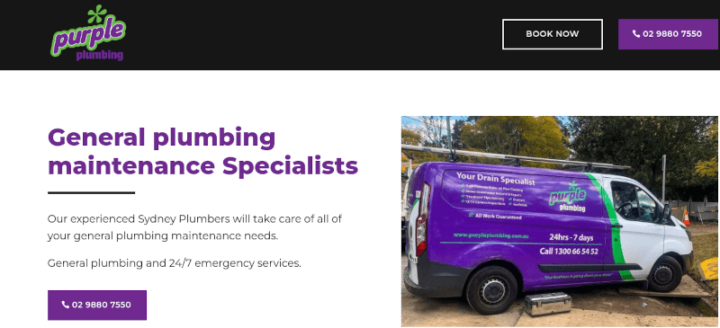 Purple Plumbing